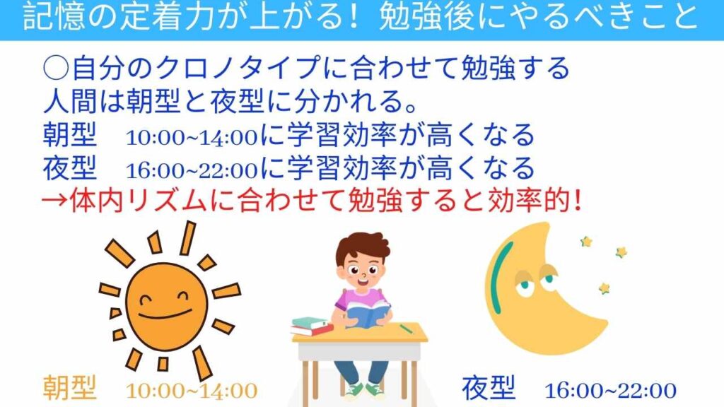 自分のクロノタイプに合わせて勉強する