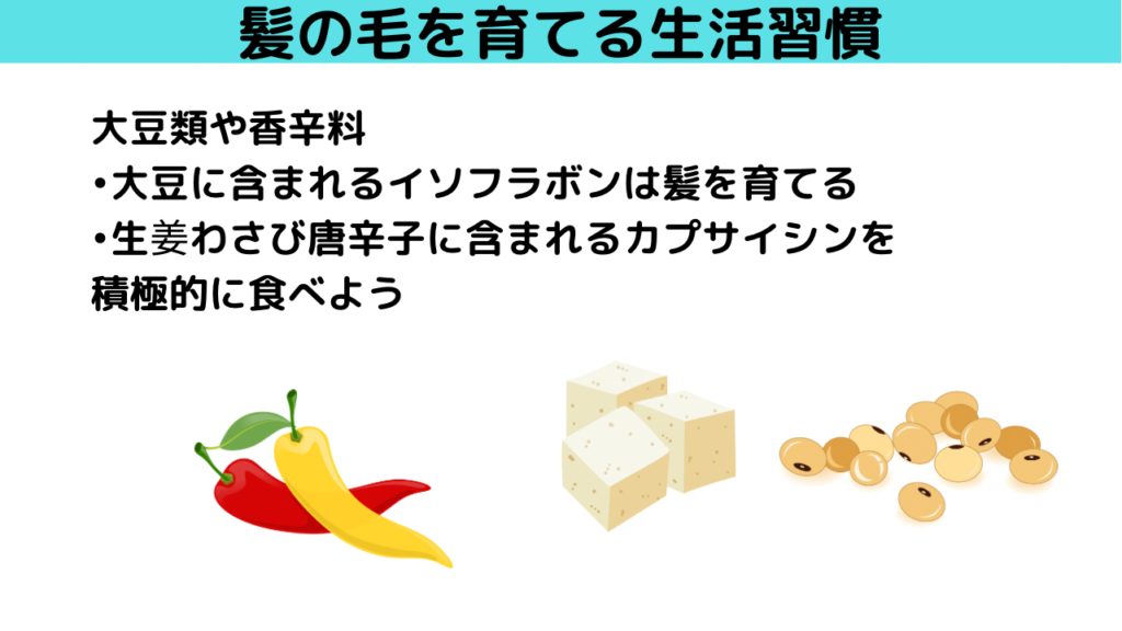 大豆類と香辛料は髪の毛に良い