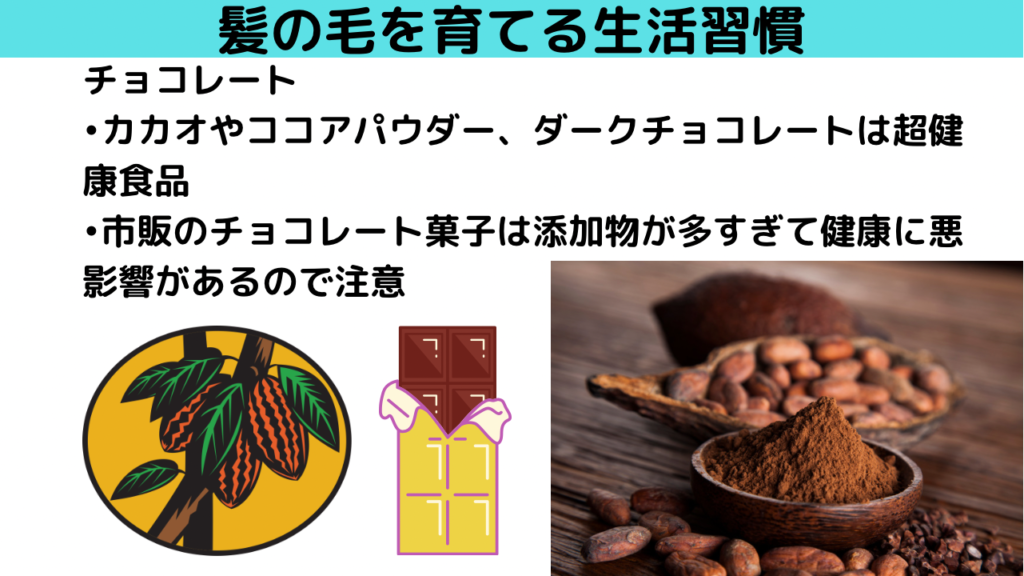 チョコレートは育毛効果が高い