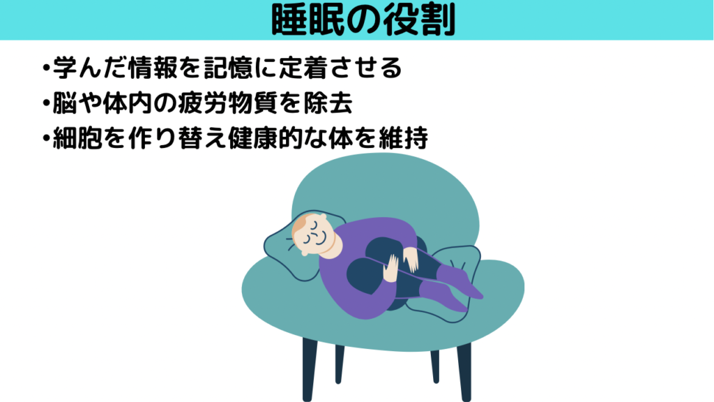 睡眠の役割