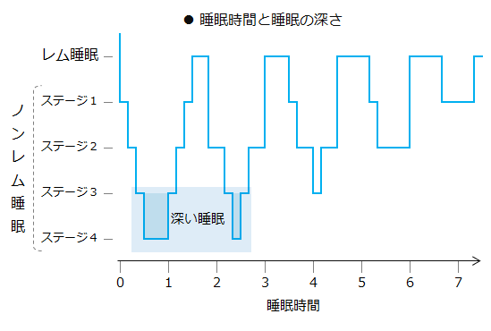 睡眠サイクル