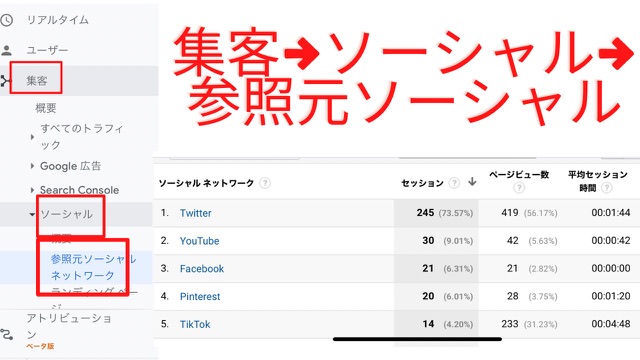 Googleアナリティクス　流入SNS分析